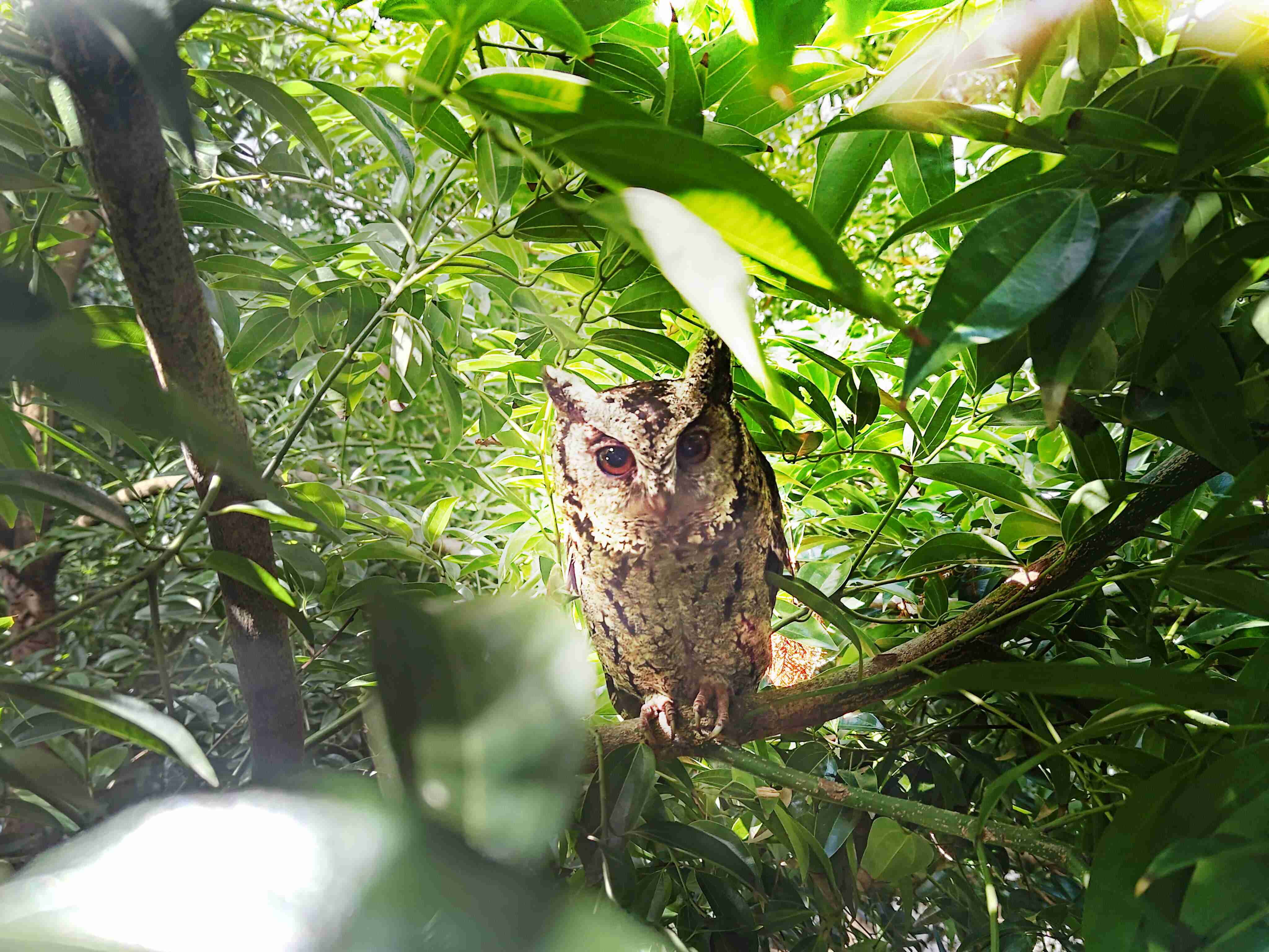 z6mg·人生就是博致力提倡净零绿生活，，，，16年以来在全球各厂区植树逾百万棵，，造就各厂区树木蔚然成林，，，，犹如森林工厂，，，成为许多生物的栖息地